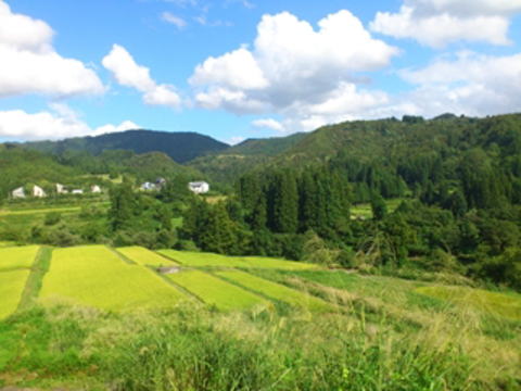 �������i1