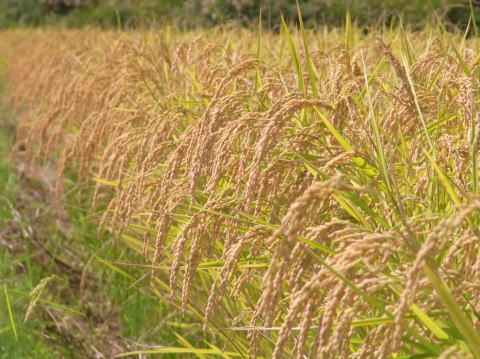 �������i3